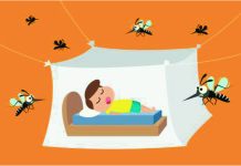 শিশুর ডেঙ্গু প্রতিরোধ