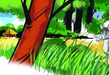 হোসনা বানুর অ্যাডভেঞ্চার । পর্ব-৮