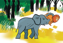 সিংহের শক্তি পরীক্ষা