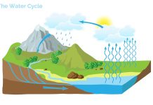 বৃষ্টি কীভাবে হয়?