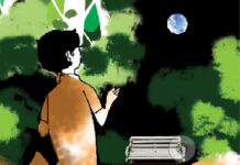 আয়নাঘরের ফুল