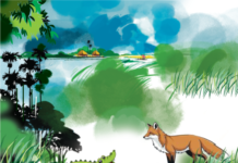 কুমিরছানার ভেলকি