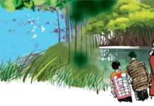 সুন্দরবনে চার গোয়েন্দা