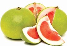 ভিটামিন সি’র চাহিদা পূরণে জাম্বুরা