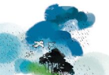 মেঘরা কথা কয়