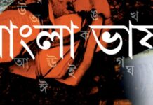 ভাষাকে দাও নতুন কিছু