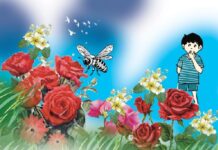 মুখ লুকোনো গোলাপ রানি