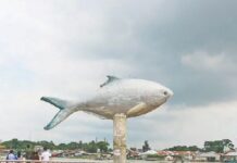 ইলিশের বাড়ি চাঁদপুর ঘুরে এলাম