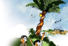 পিঠাপুলি