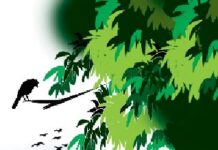 বকুল গাছের তলে