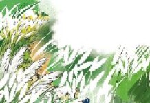 শরতের শোভা