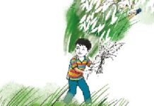 শরৎ মেঘের নৃত্য